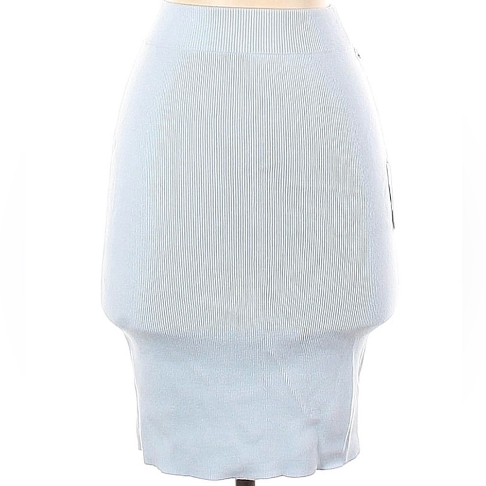 NWT Song of Style Skirt